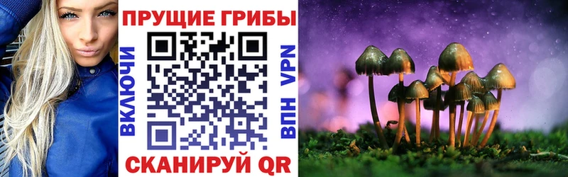 Галлюциногенные грибы мухоморы  цены наркотик  Починок 